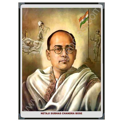 Netaji Photo 8mm Wood and Glossy Beading Photos Frames A4 Size (12" X 8 ...