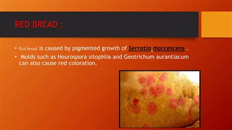 Serratia Marcescens On Bread
