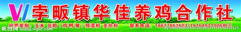 寿县国盛畜禽养殖专业合作社电话,地址