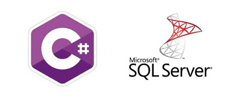 C# Database Connection How to Connect SQL Server 的图像结果