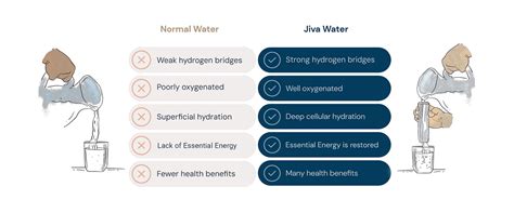 Jiva Water Devices - Fresh, Energized Water