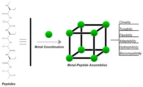 Synthesis and Biological Activities of Some Metal Complexes of Peptides ...