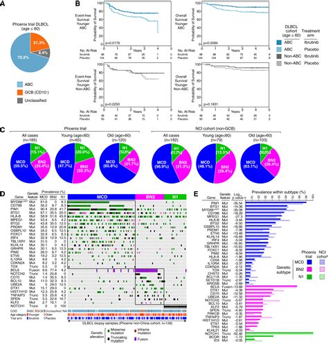 Effect of ibrutinib with R-CHOP chemotherapy in genetic subtypes of DLBCL: Cancer Cell