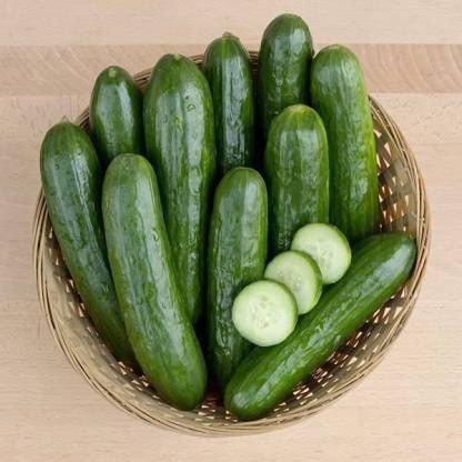 WHYGI MANNY F1 CUCUMBER SEEDS-CuC_688 Seed Price in India - Buy WHYGI ...
