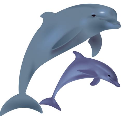 Blue Dolphin Clipart