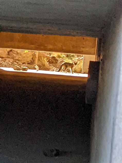 El Paso Strip Club Scene : ElPaso