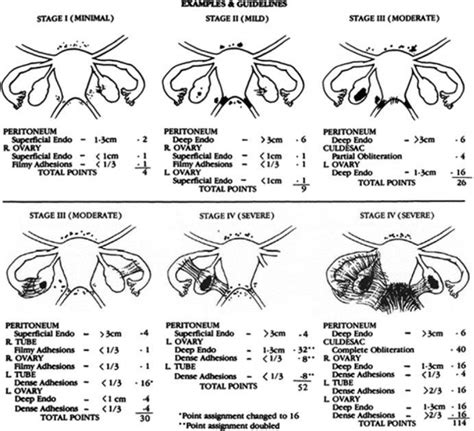 Image result for Computer Input and Output Devices Worksheet