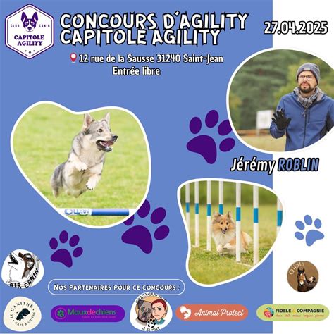 Concours Agility - Capitole Agility , Toulouse Capitole Agility, 27 ...