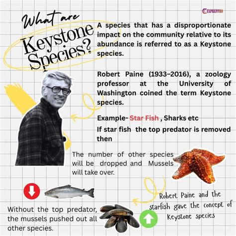 Unveiling the Keystone species concept | UPSC Environment