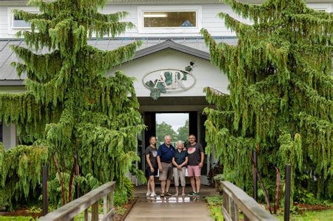 How These New York Wineries Are Rethinking (Social) Sustainability ...