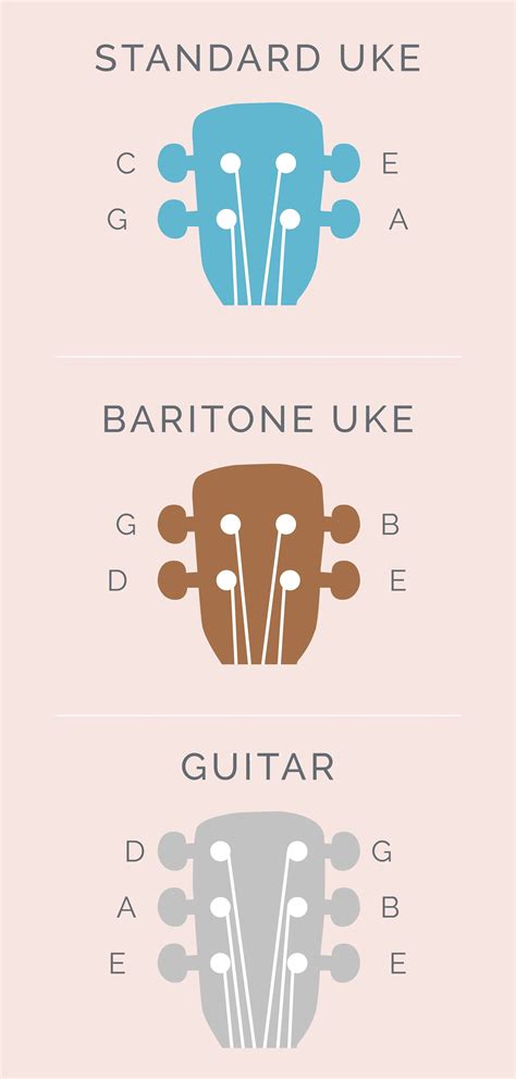 What Is A Ukulele