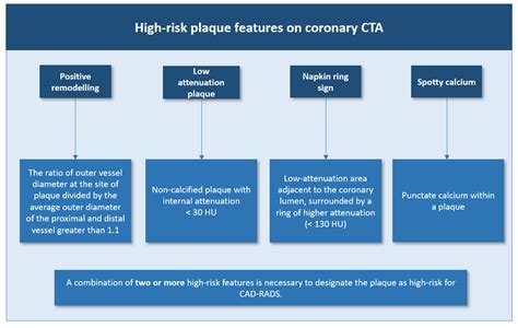 Applied Sciences | Free Full-Text | Beyond the Calcium Score: What Additional Information from a ...