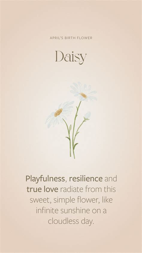 Flora Collection Meanings | April Birth Flower | Daisy Flower Symbolism ...