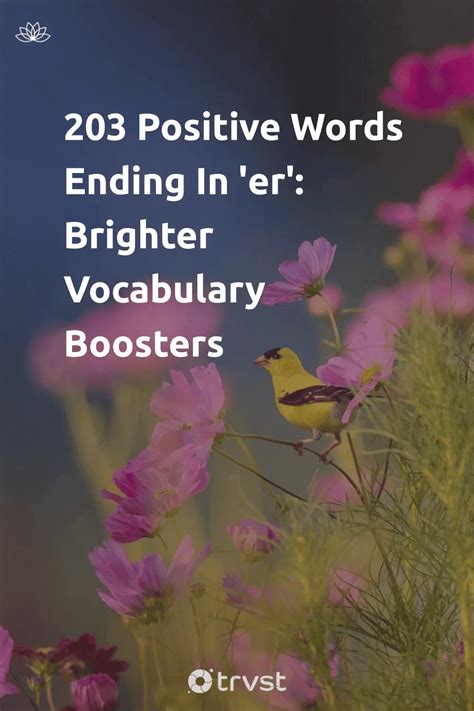 203 Positive Words Ending In 'er': Brighter Vocabulary Boosters
