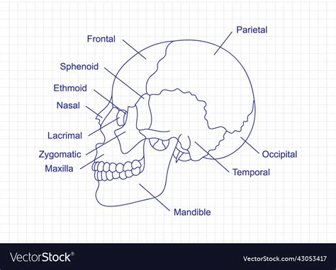 Image result for Example of Learning Program in School