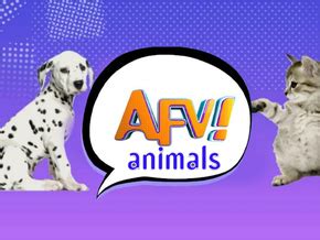 AFV Zoo Animals 的图像结果