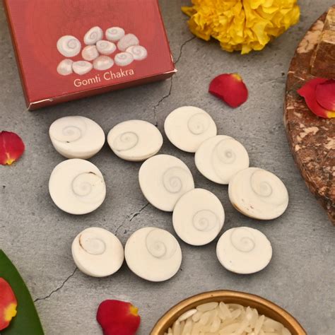 Gomti Chakra - Pack of 11 – ServDharm