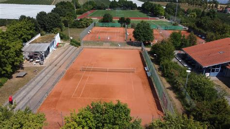 Tennis - Abteilungen | TSG Drais 1876 e.V.