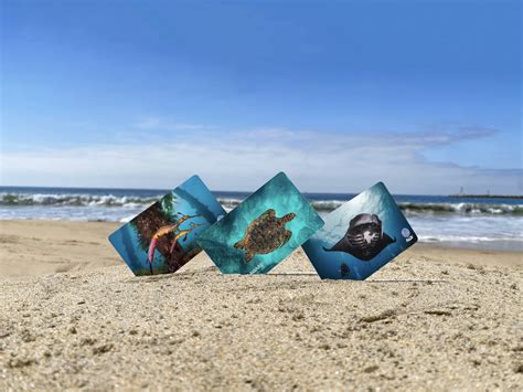 PADI Certification Card FAQs | Replace Lost PADI Card