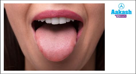 Sense Organs in Biology: Definition, Types and Importance | AESL