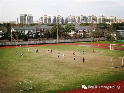 上海德国学校一日体验活动