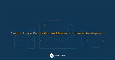 Image Analysis by Tracker Software 的图像结果