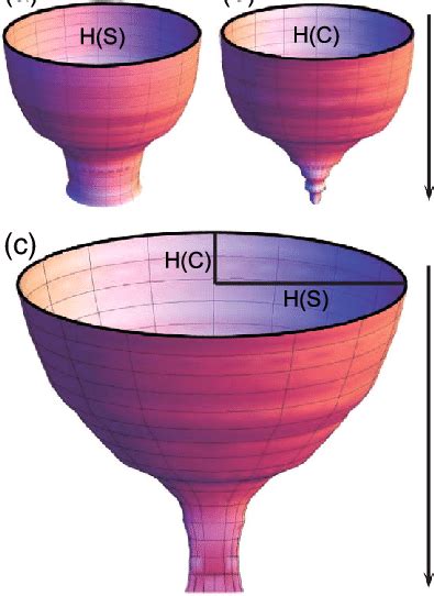 Protein Evolution Landscape 的图像结果