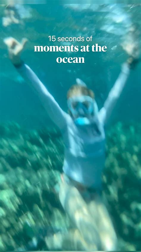 Finding Sea Shells 的图像结果