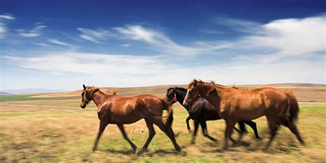 High Resolution Images Size 的图像结果