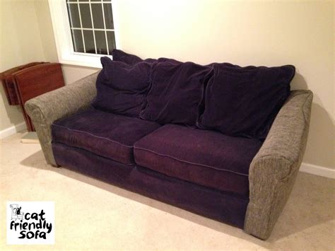 15 Photos The Smart Way to Protect Your Sofa from Pets: a Comprehensive ...