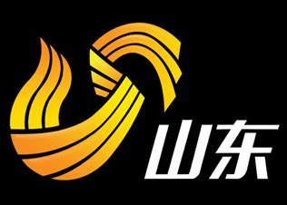 山东卫视台标-logo11设计网