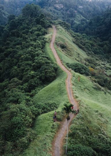 Hotels in UAE, Book Best UAE Hotels for Booking | MakeMyTrip