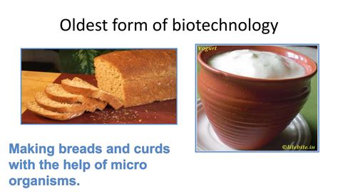 Biotechnology Process 的图像结果