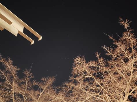Orion and trees from the Thomas M. Siebel Center for nerds : r/UIUC