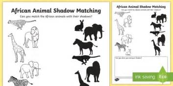 Grade R - Wild Animals - Worksheet: Shadow Matching - Twinkl