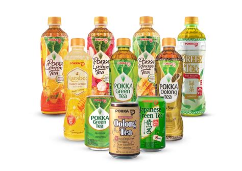 POKKA Green Tea 450ML X 24 (BOTTLE) | Shopee Singapore
