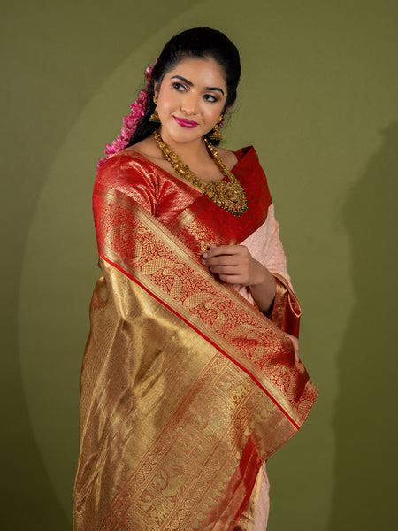 Second Skin I Fusion Georgette Chikankar with Kanjeevaram