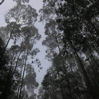 Meesapulimala (Idukki) - All You Need to Know BEFORE You Go