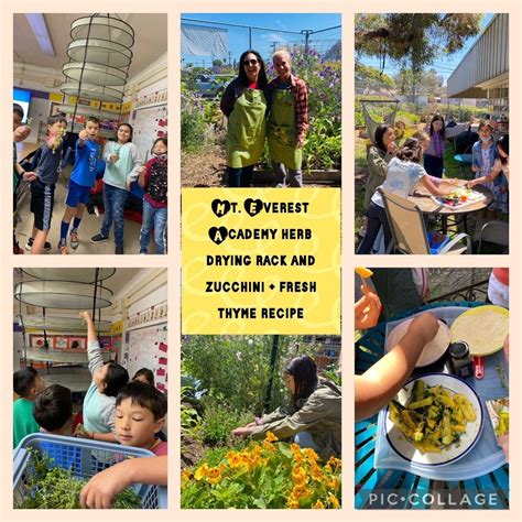 Herb Society of America Grants and Scholarships