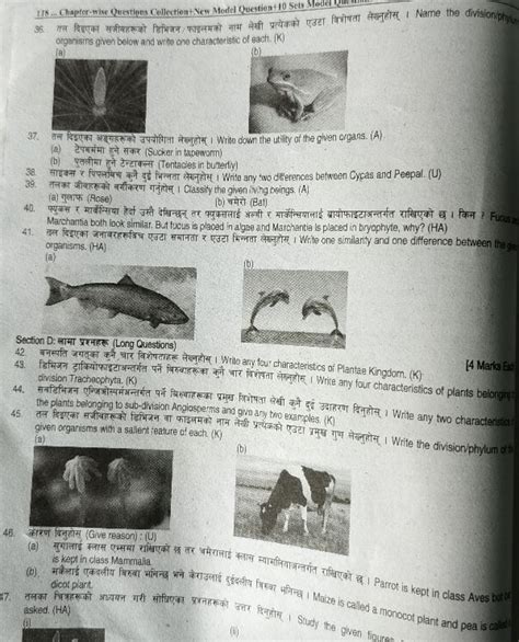 Biology Questions Name the division/phylum of the organisms given below