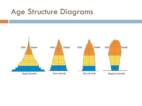 PPT - Bellwork PowerPoint Presentation, free download - ID:336319