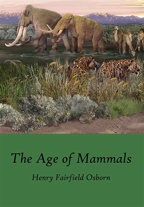 The Age of Mammals – Silver Street Media Bookstore