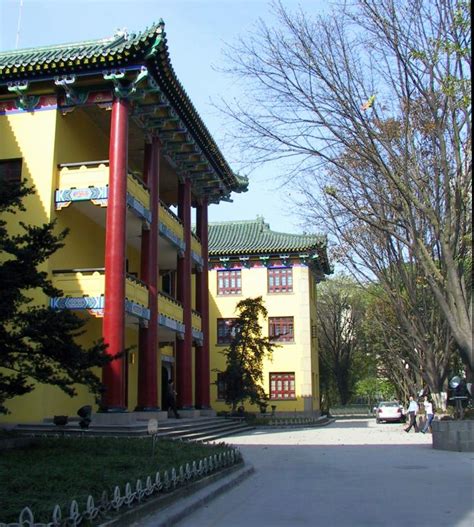 全国十大外国语大学排名出炉，揭秘中国最好的外国语大学