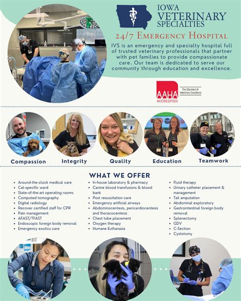 At IVS, we provide 24/7 emergency veterinary care for your beloved pets ...