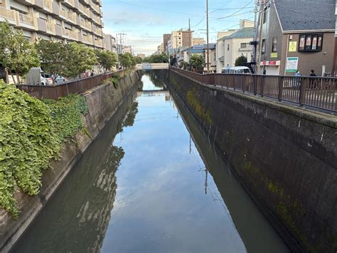 https://cdn-ak.f.st-hatena.com/images/fotolife/I/Ikegamiblog_tokyo/20260603/20260603203152.jpg
