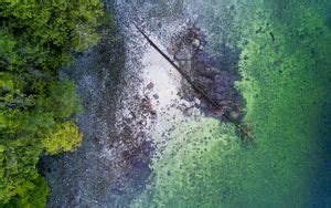 Wallpaper coast, sea, palm trees, trees, landscape hd, picture, image