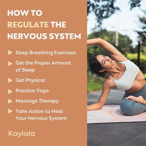 How To Heal A Dysregulated Nervous System