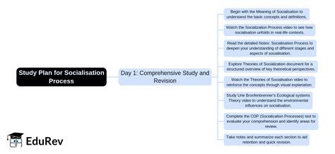 1-Day Study Plan: Socialisation Process - Child Development and ...