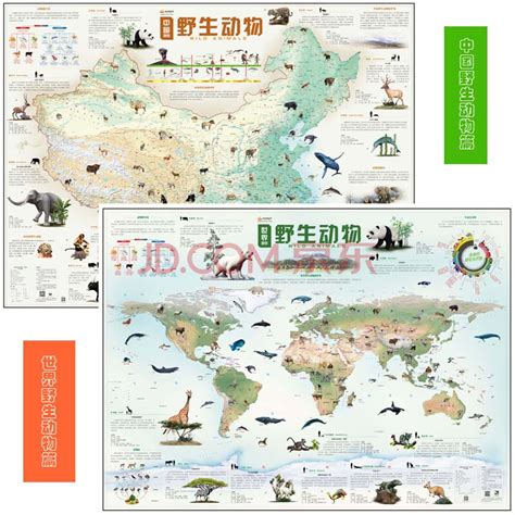 世界动物地图 的图像结果