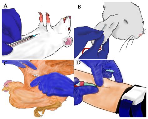 Blood Source and Anesthetics Effects on the Maintenance of Anopheles ...